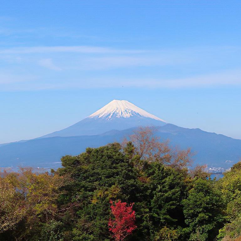 静岡出身・在住