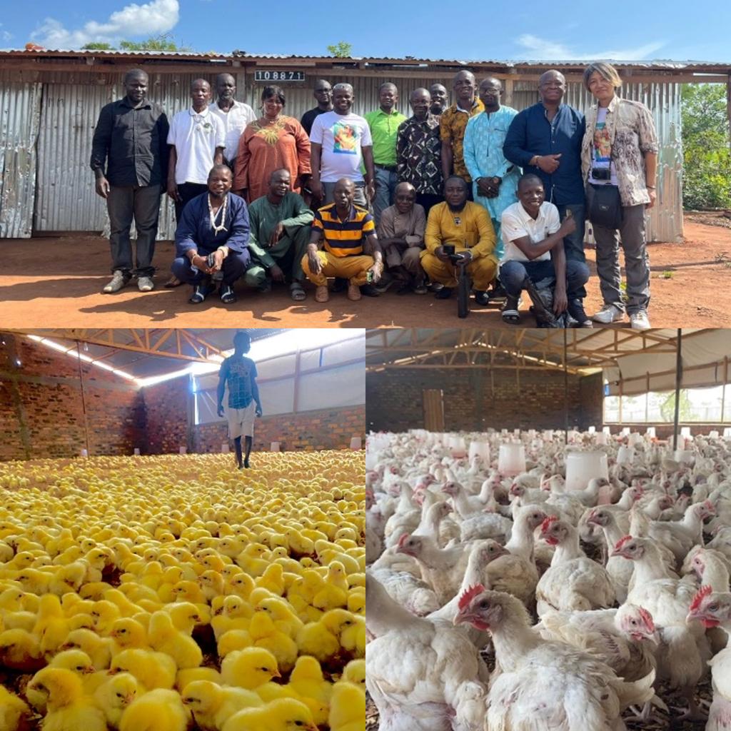 PEACEis_プロジェクト代表