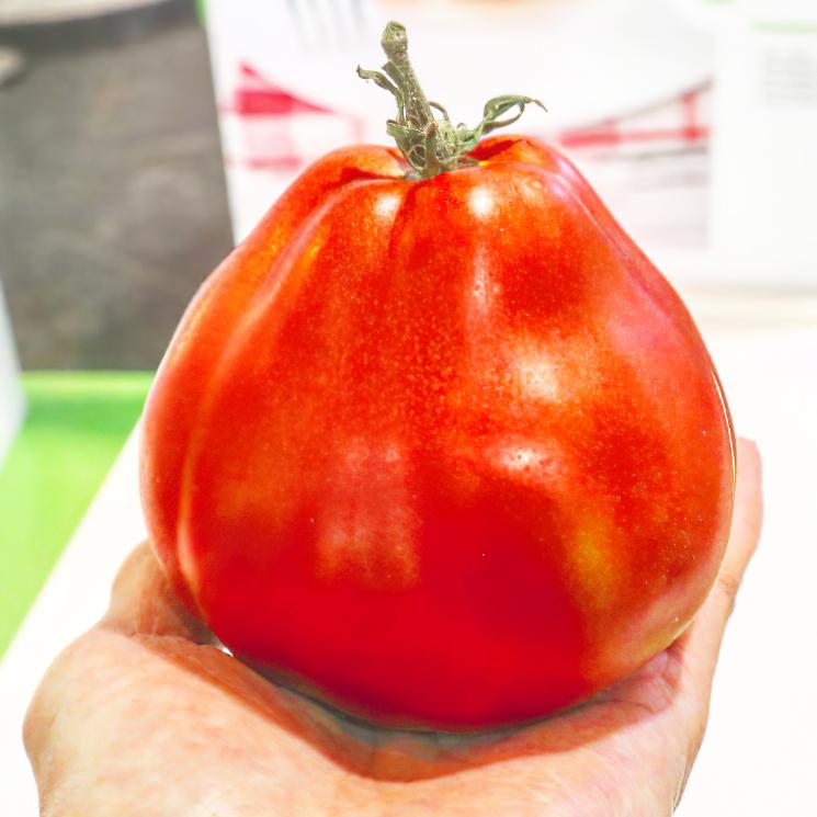 食育