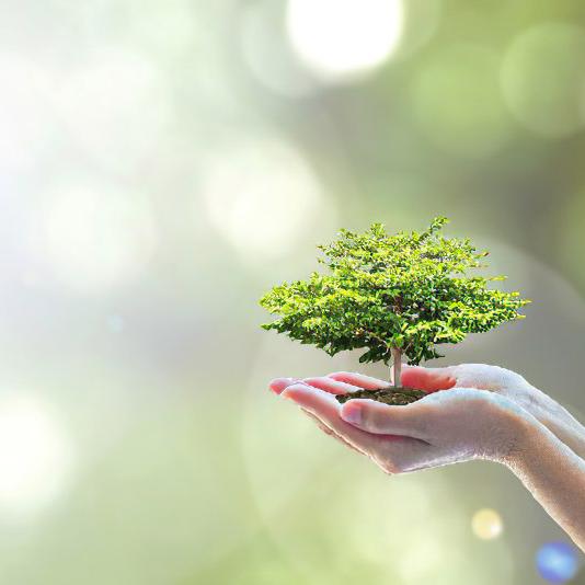 大学院環境経済学