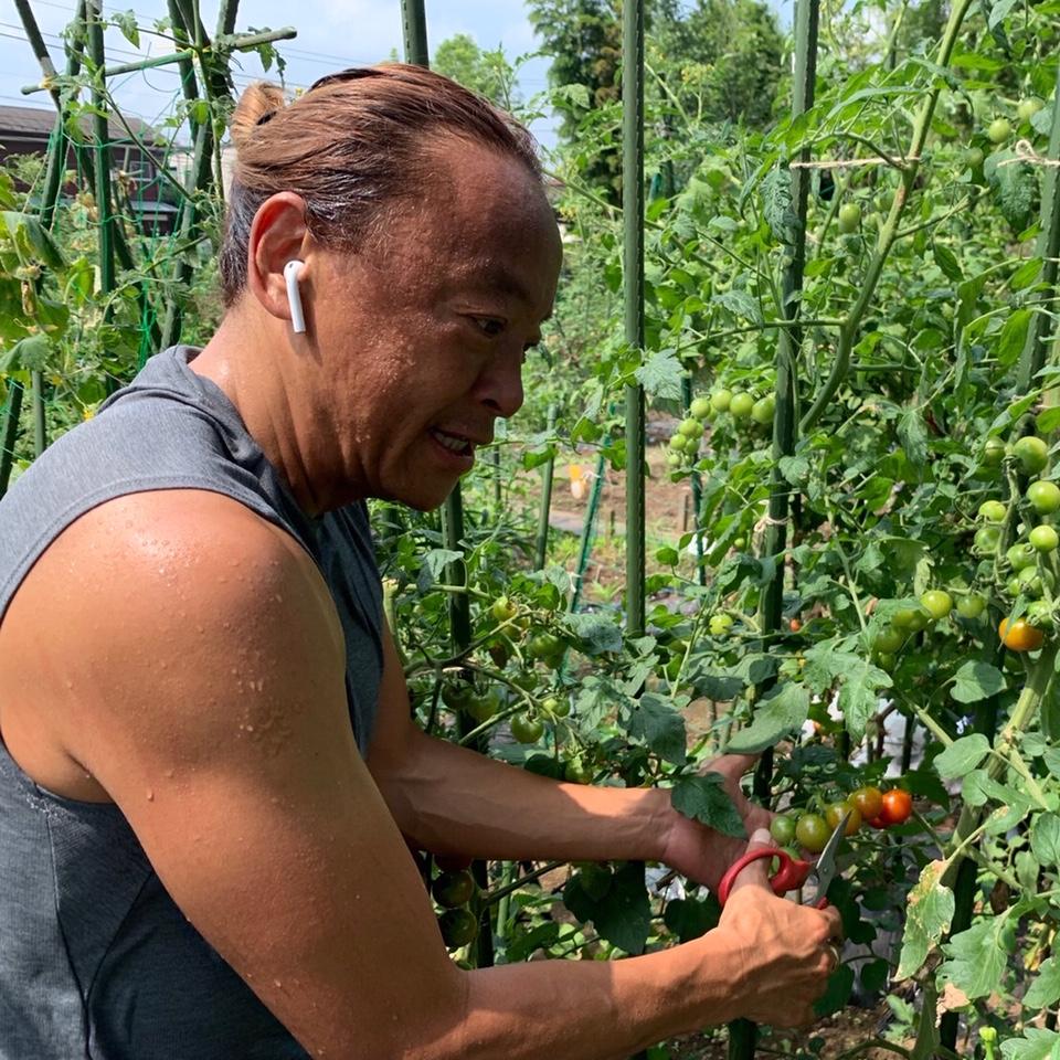 ゴルフ・野菜農園・料理